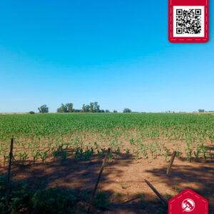 Campo en venta 3ha. Villa Lia