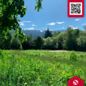 Lote en El Bolson Bariloche 5000mts2