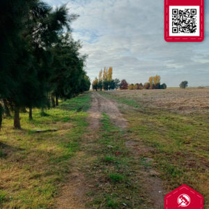 Campo en Venta 23Ha.
