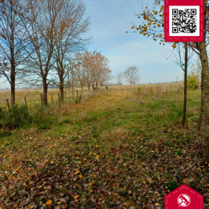 Campo en Venta 5Ha.